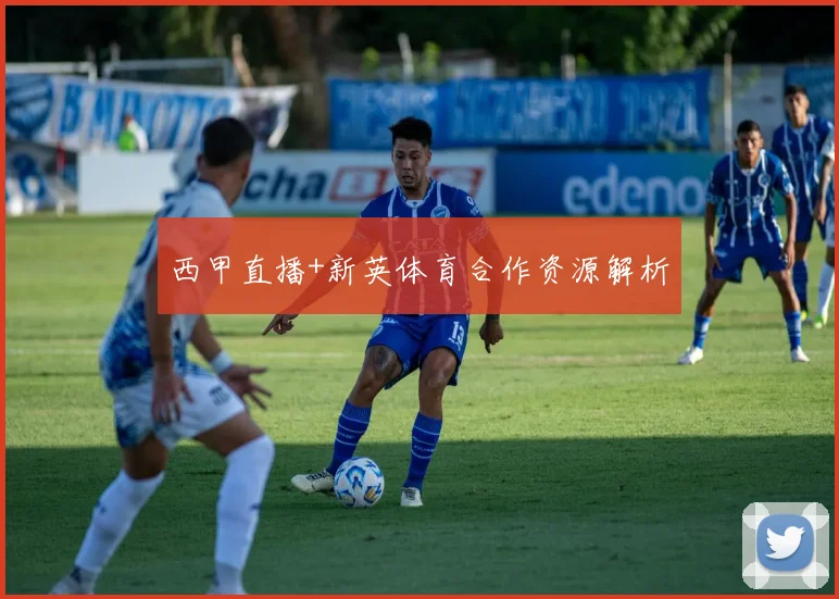 西甲直播+新英体育合作资源解析