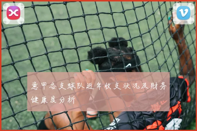 意甲各支球队近年收支状况及财务健康度分析